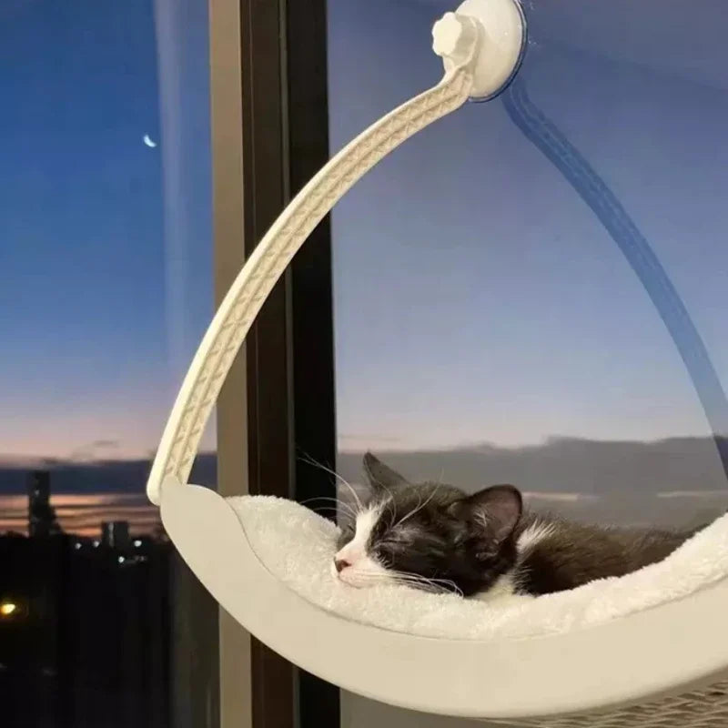 Cute Cat Hanging Beds Comfortable Sunny Window Seat