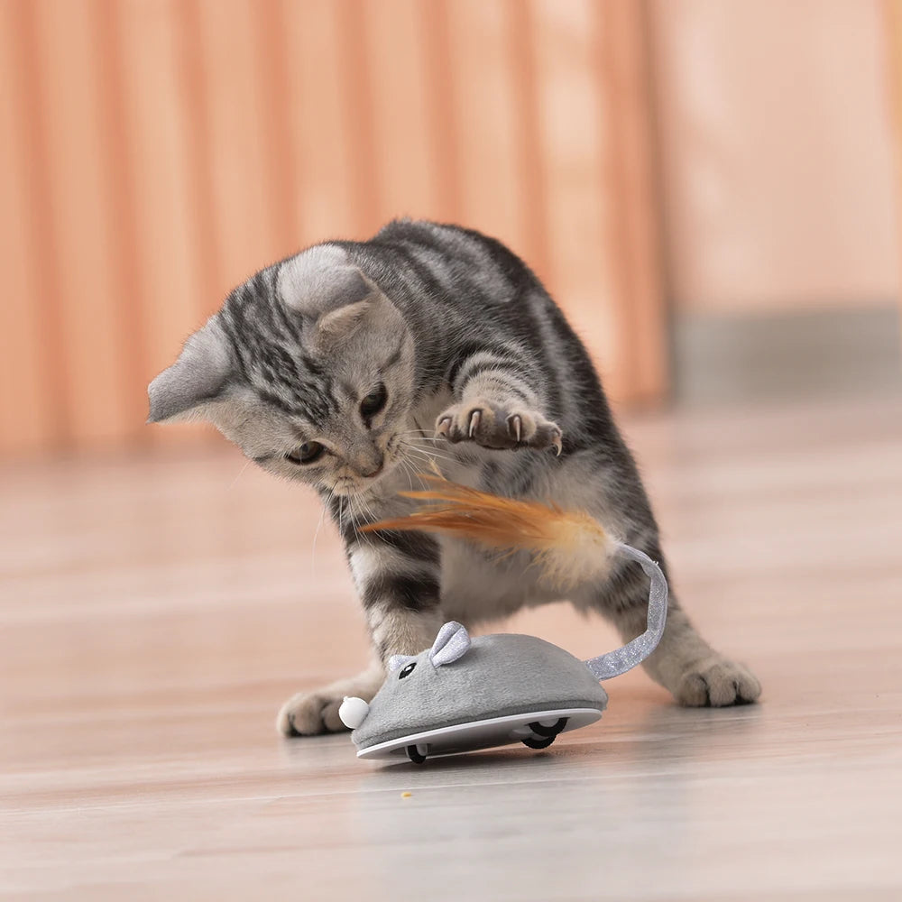 Interactive Mouse Toy for Cats